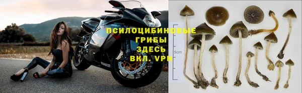 бутират Липки