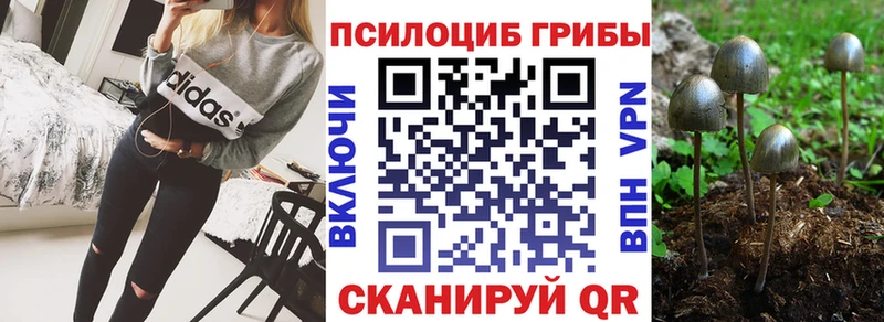 Галлюциногенные грибы GOLDEN TEACHER  где купить наркоту  Скопин 