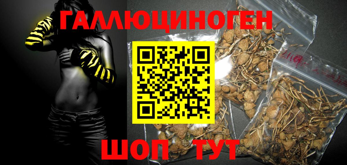 Галлюциногенные грибы мицелий Скопин