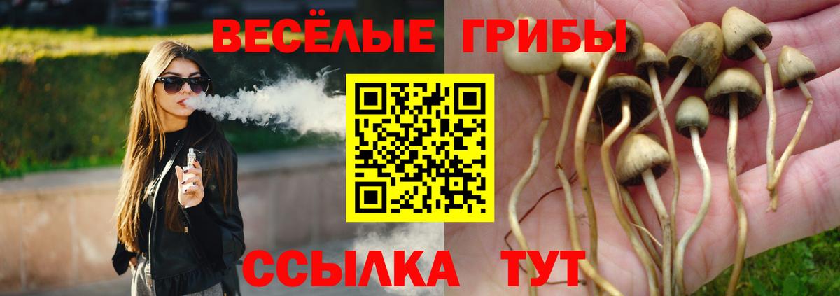 сколько стоит  Скопин  Псилоцибиновые грибы MAGIC MUSHROOMS 